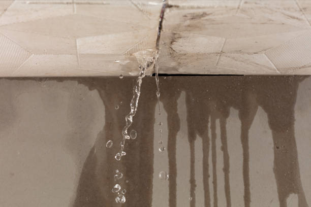 Professional Structural Drying technician working in Plainview, NY